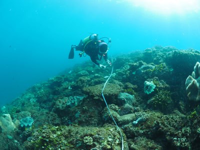 survey photo from Mudjimba Island