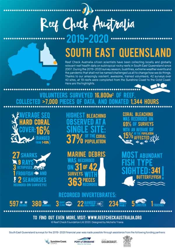 reef check australia infographic