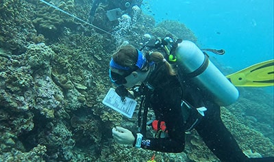 Diver observing coral reef and marine life for Reef Check conservation efforts.