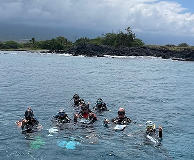 People conducting coral reef survey diving with Reef Check methodology in ocean waters.