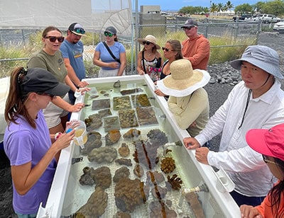 Divers at the coral nursery