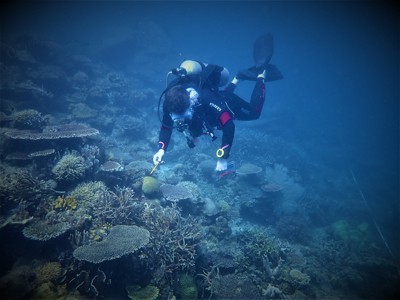 survey diver in the Philippines