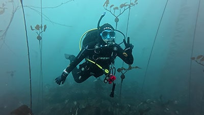 Diving underwater with reef monitoring equipment for reef conservation.