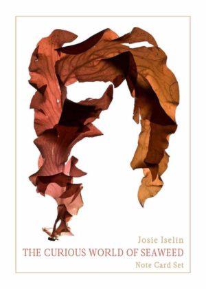 The Curious World of Seaweed Note Card Set