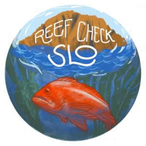reef check slo sticker