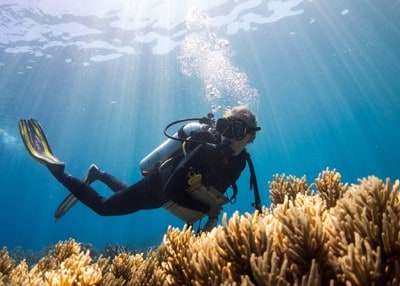 Reef Check Tropical diver